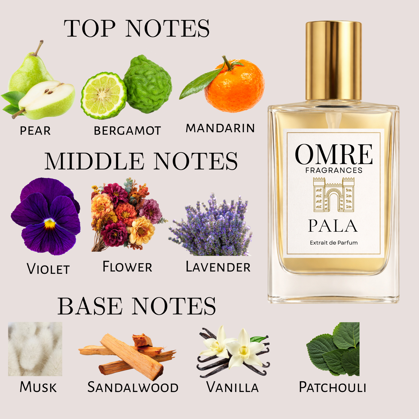 OMRE Pala - Inspired by Palatine