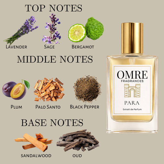 OMRE Para - Inspired by Initio Paragon