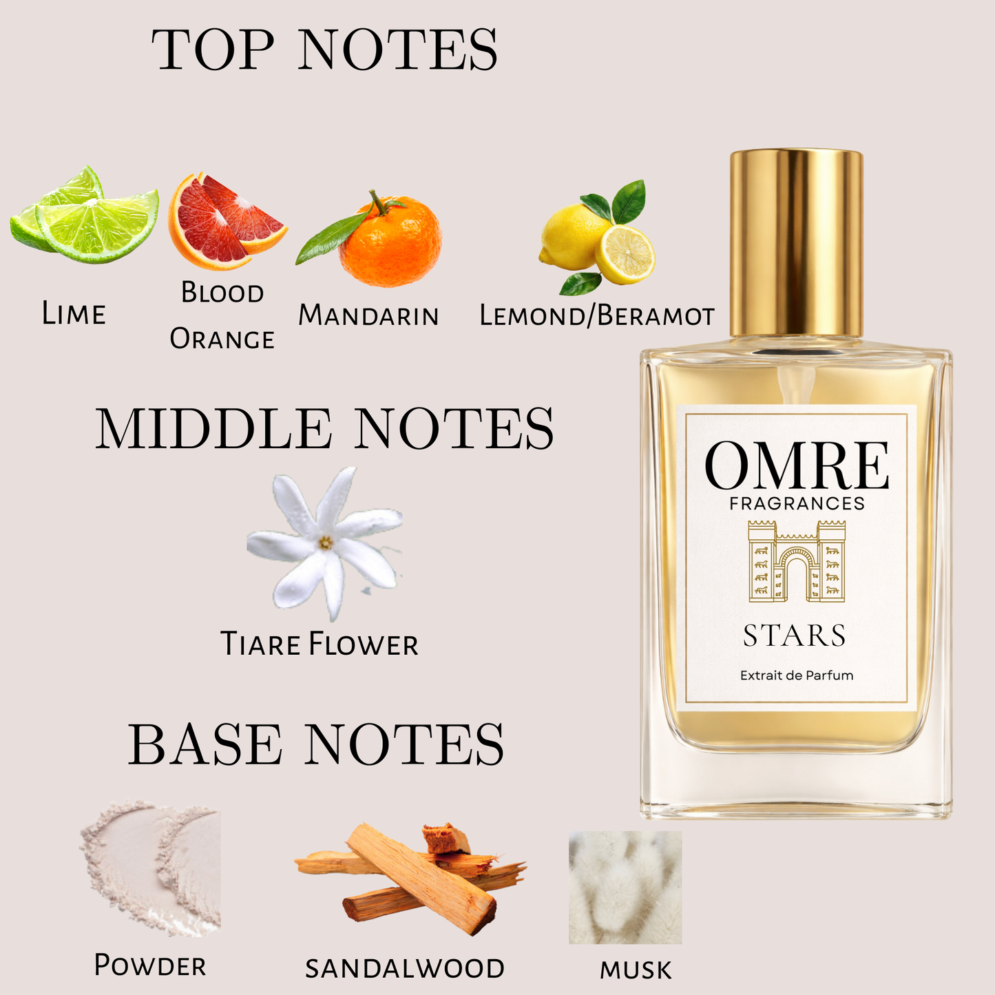 OMRE Stars - Inspired LV City of Stars