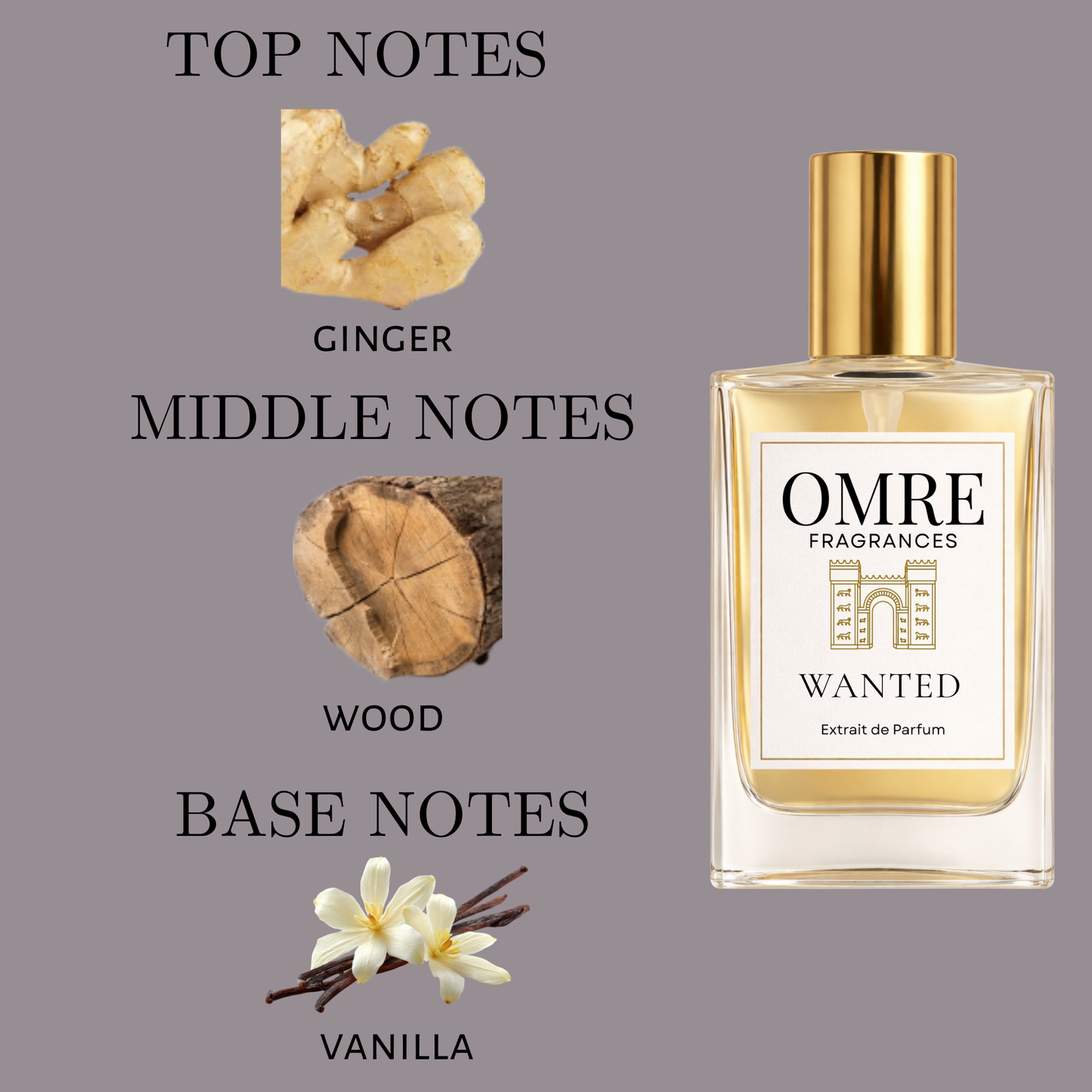OMRÉ wanted – Inspired by The Most Wanted Parfum by Azzaro