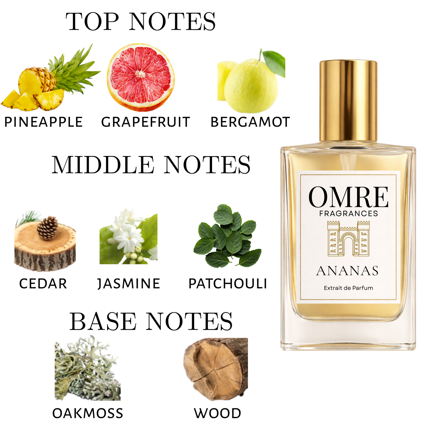 OMRE Ananas - Inspired by Hacivat Nishane